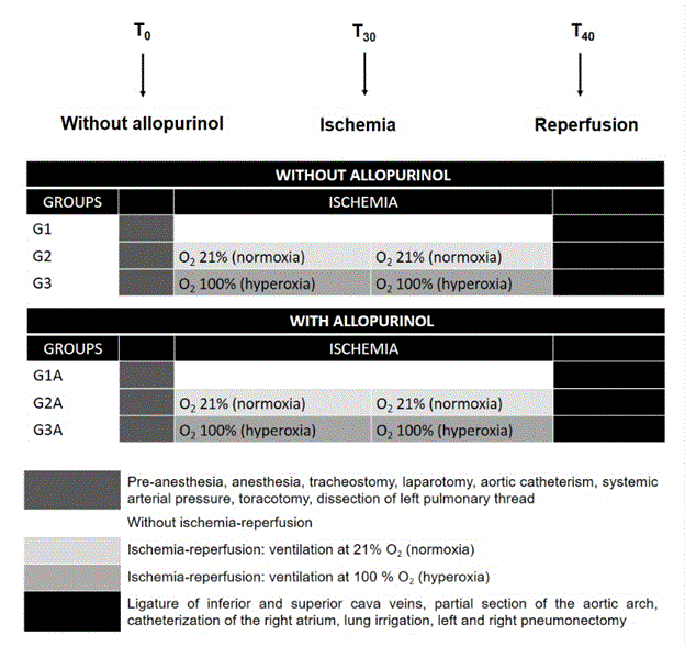 HPLC method for measuring the circulating levels of 25hydroxy vitamin